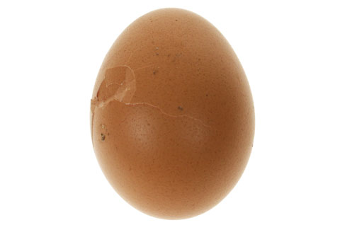 A cracked egg.