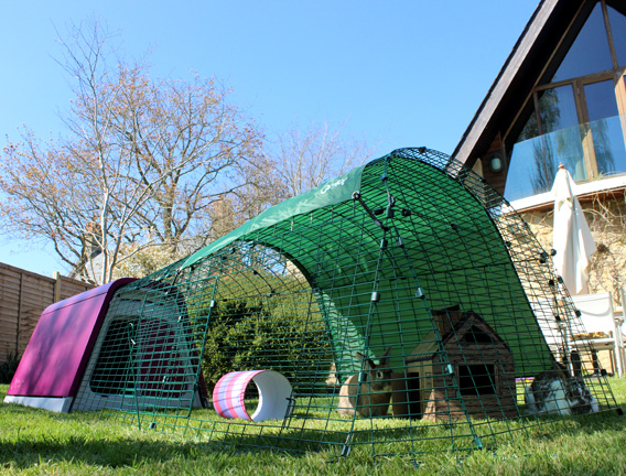 La casa para conejos Eglu Go en un jardín