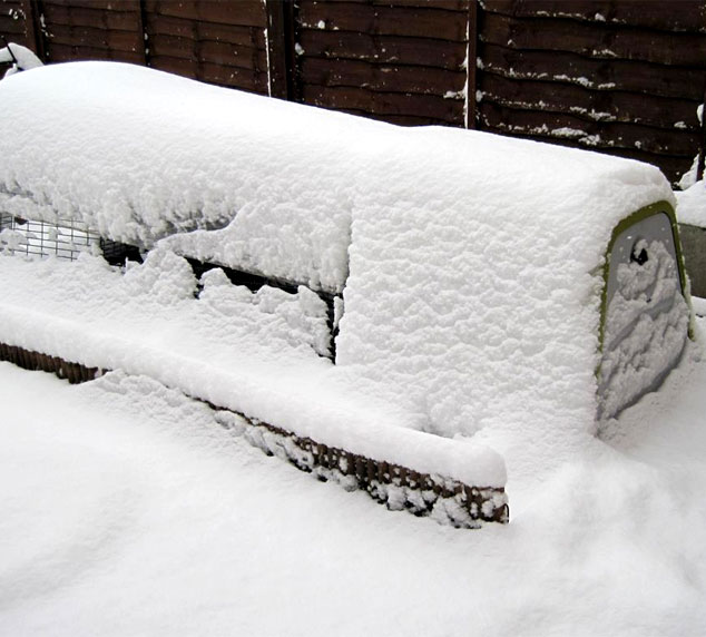 El gallinero Eglu Go cubierto de nieve.