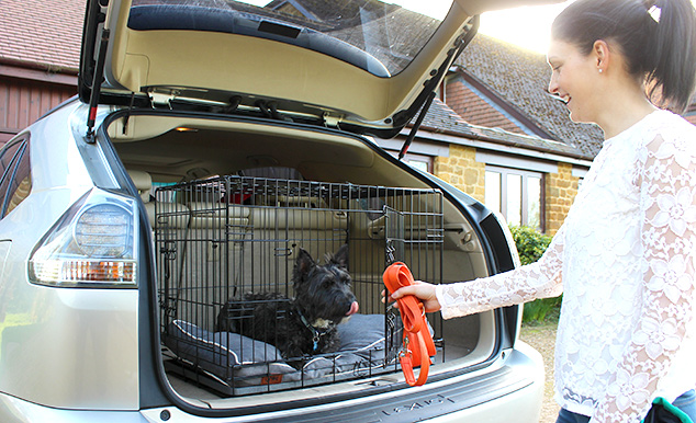 Una jaula es la manera más segura de transportar a tu perro en coche