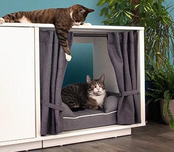  Las elegantes cortinas del Maya Nook crean un espacio cerrado para tu gato