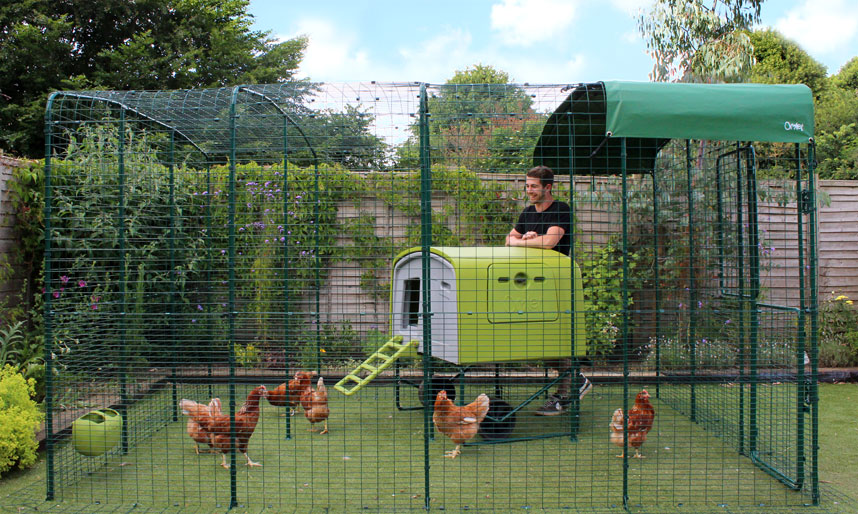 The Walk In Chicken Run is the safest place for your chickens
