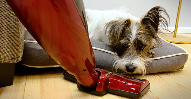 El mueble Fido Nook protege a tu perro de las corrientes de aire, los golpes y otros ruidos