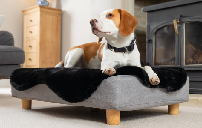 beagle en la cama para perros topology de espuma viscoelástica con funda de piel de oveja sintética negra y patas de madera