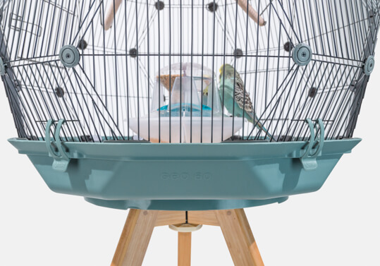 La jaula para pájaros Geo con una base de color verde azulado