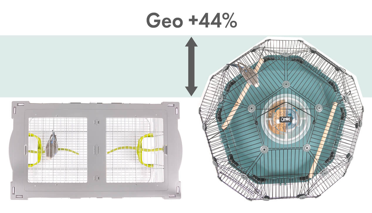 Un gráfico que muestra que la jaula Geo proporciona un 44% más de espacio a los pájaros que una jaula tradicional de la misma anchura