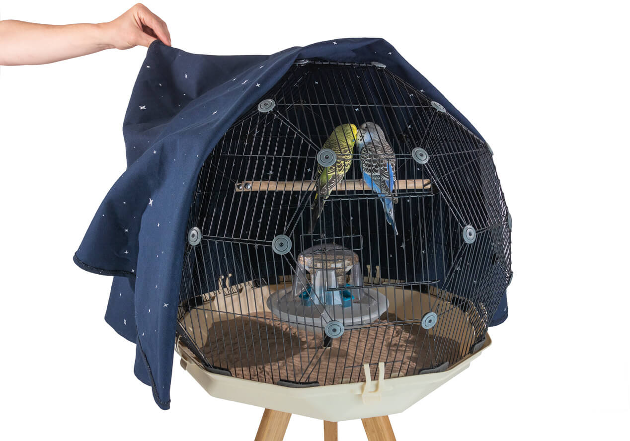 Dos periquitos en una percha en la jaula Geo con la cubierta de noche puesta a la midad