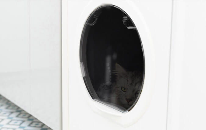 gato dentro de la caja de arena para gatos con puerta transparente